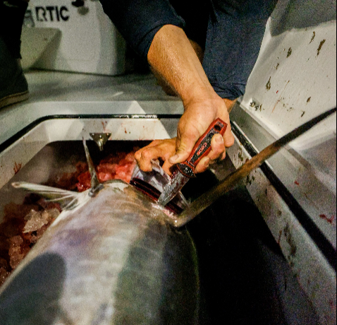 Sord 4in Freediving Knife - Dogfish Tackle & Marine