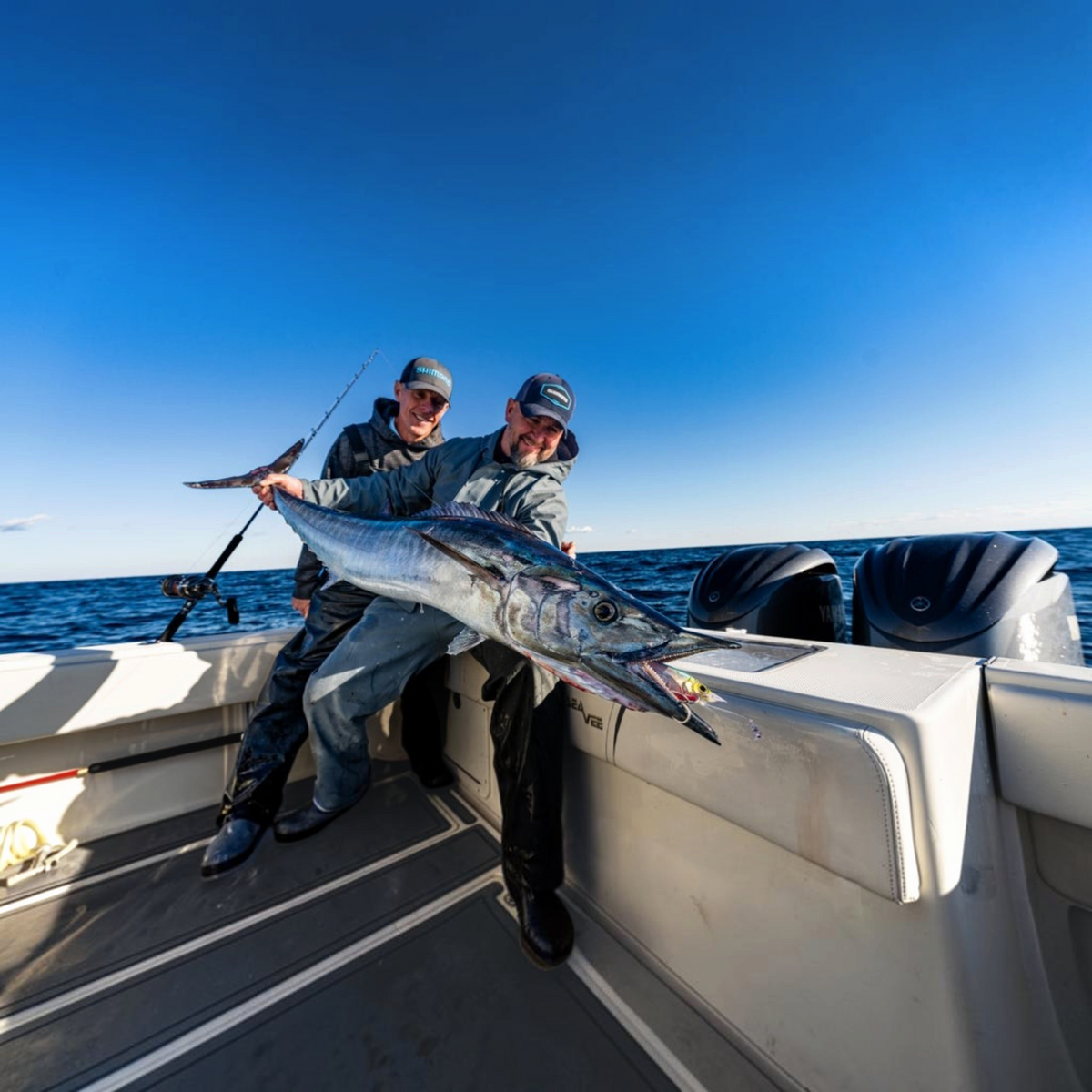 Shimano Ledge Runner Lures - Dogfish Tackle & Marine