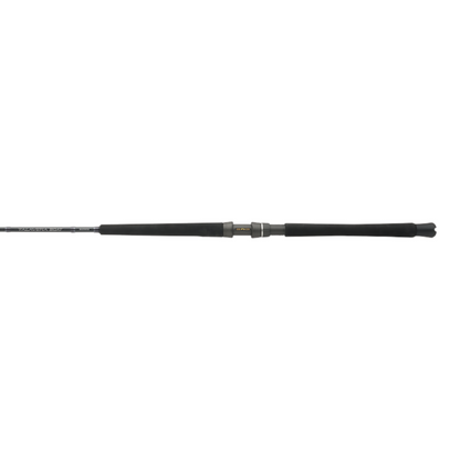 Shimano Talavera Boat D spinning rod with a graphite blank, Fuji guides, and an ergonomic EVA grip.