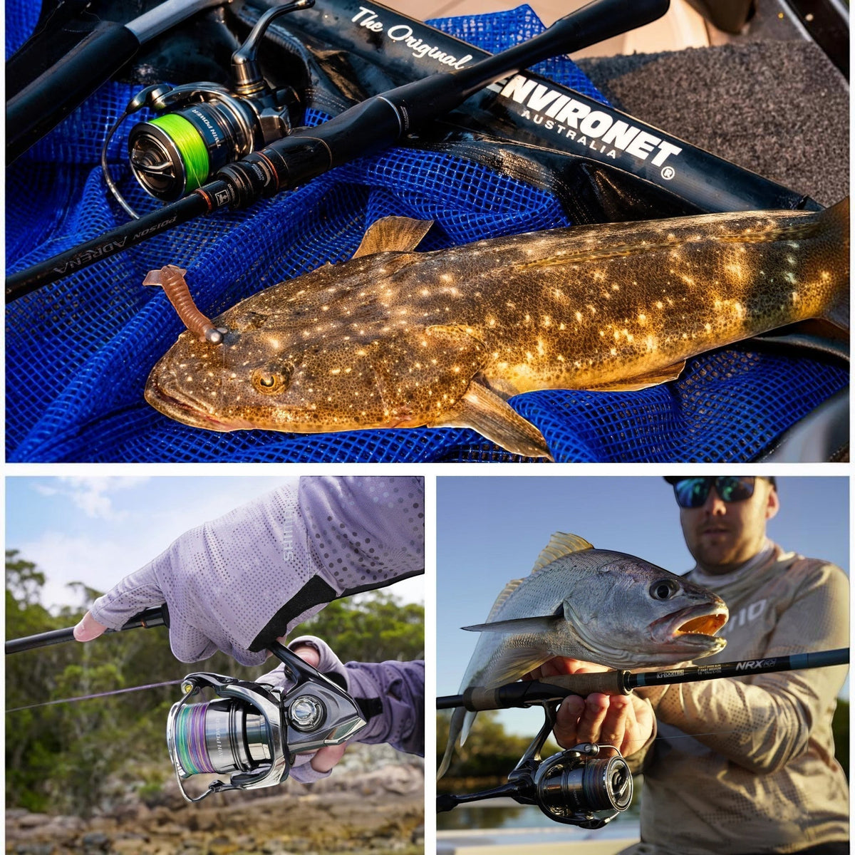 Shimano Twin Power FE Spinning Reels - Dogfish Tackle & Marine