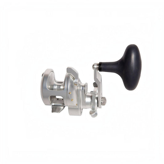 Accurate Tern 2 Conventional Star Drag - Dogfish Tackle & Marine