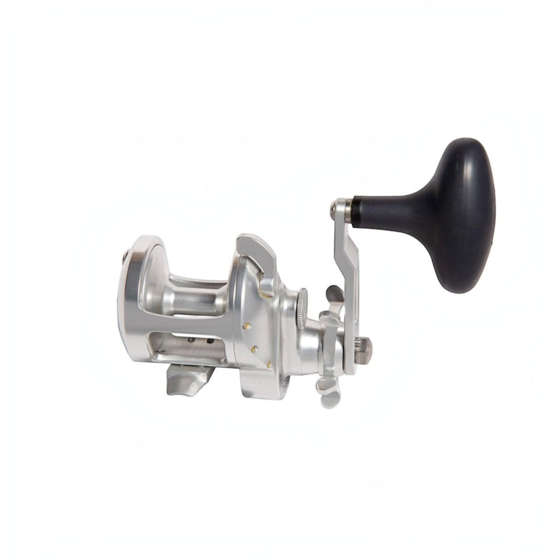 Accurate Tern 2 Conventional Star Drag - Dogfish Tackle & Marine