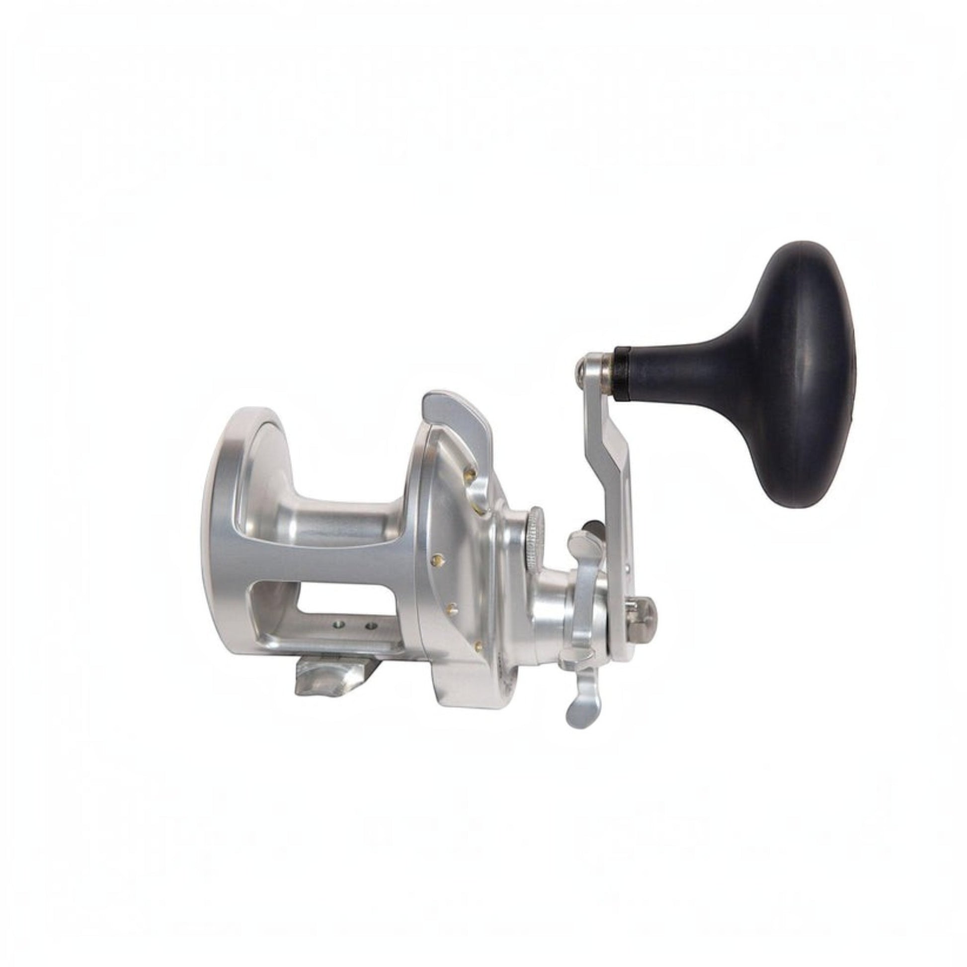 Accurate Tern 2 Conventional Star Drag - Dogfish Tackle & Marine