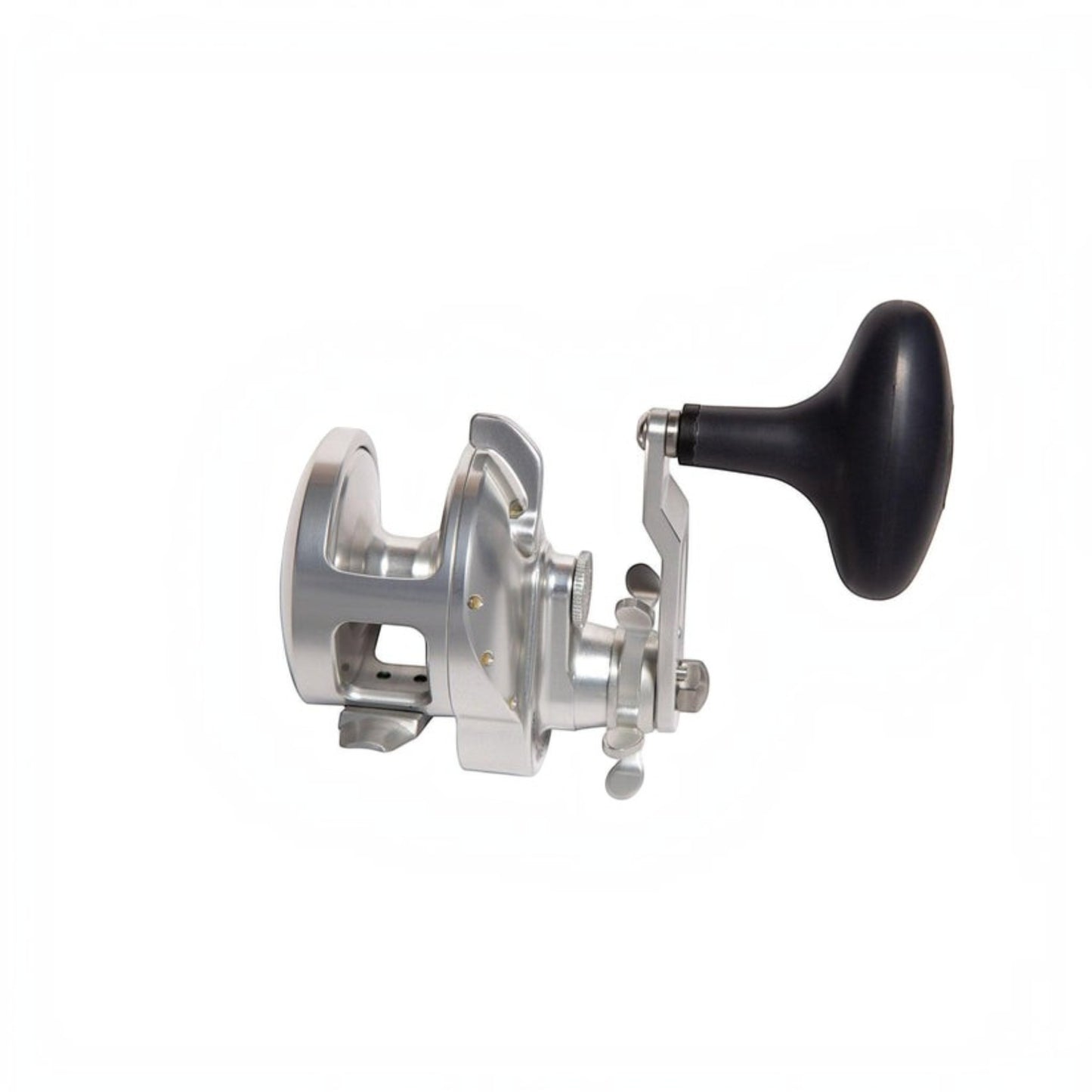 Accurate Tern 2 Conventional Star Drag - Dogfish Tackle & Marine