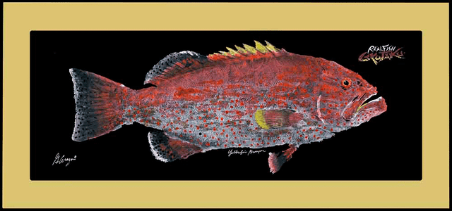 Realfish Indoor/Outdoor Floor Mats