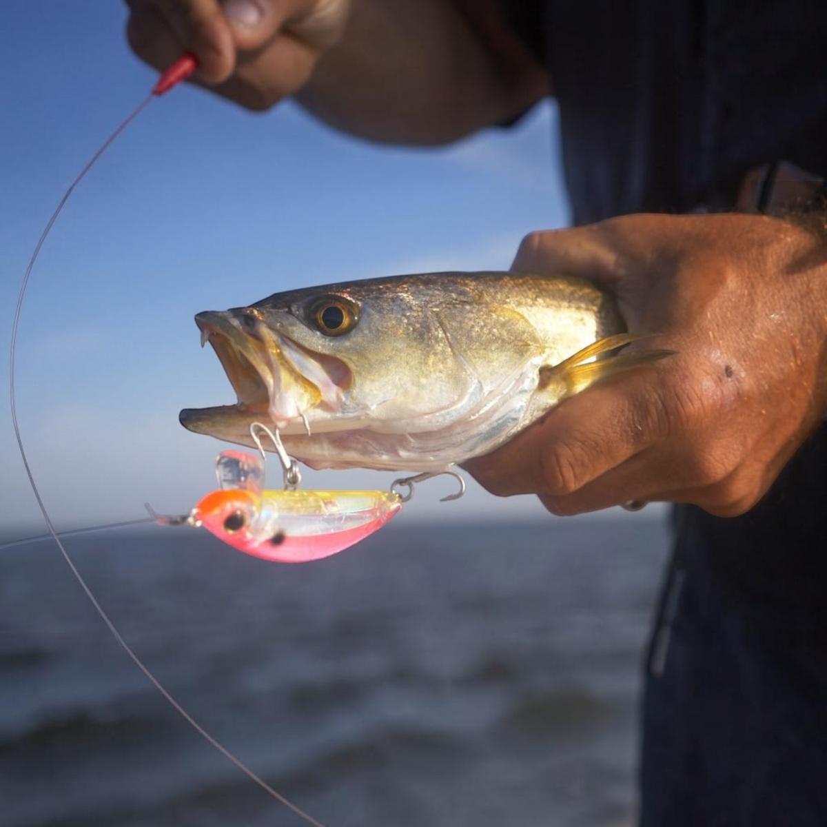 Yo-Zuri 3D Inshore Surface Minnow Lures - Dogfish Tackle & Marine