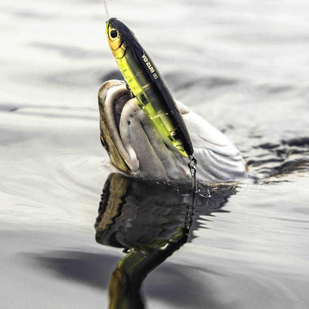 Yo-Zuri 3D Inshore Top Knock Pencil Lure - Dogfish Tackle & Marine