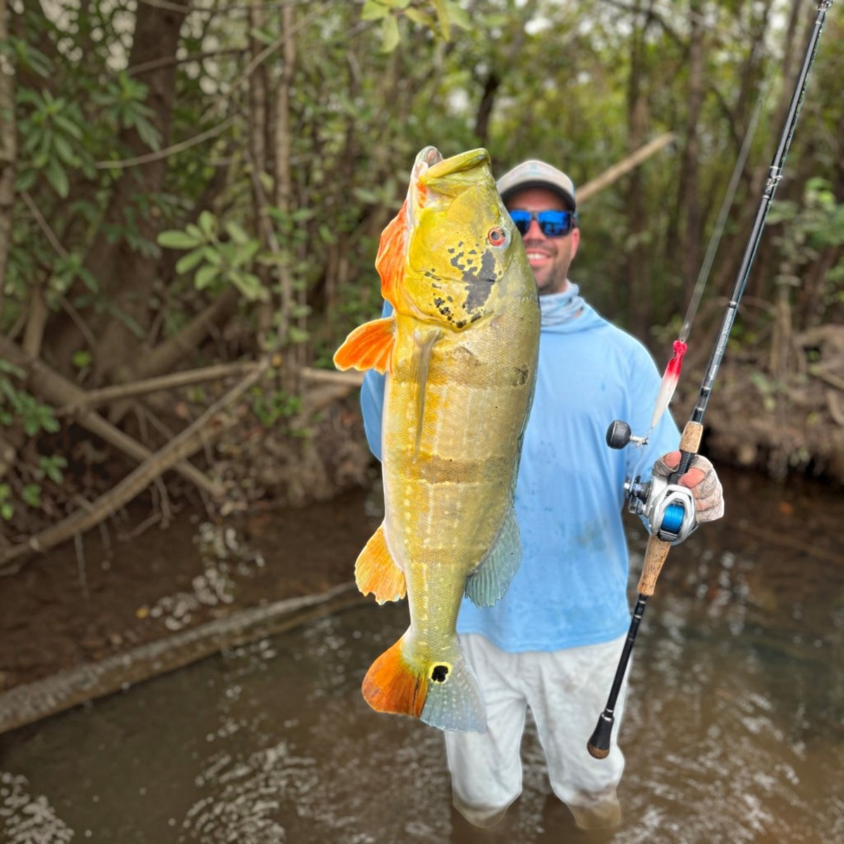 Yozuri Mag Darter Floating - Dogfish Tackle & Marine
