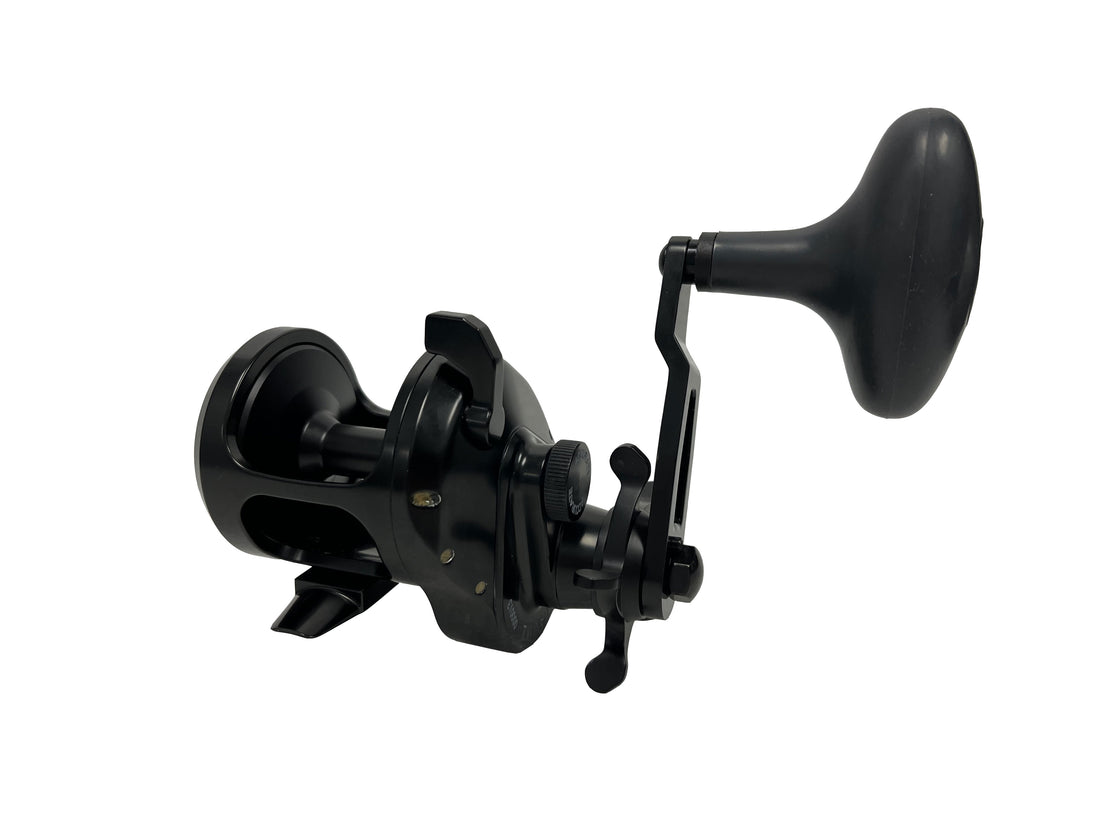 Accurate Ascender SPJ Star Drag Conventional Reel - Dogfish Tackle & Marine
