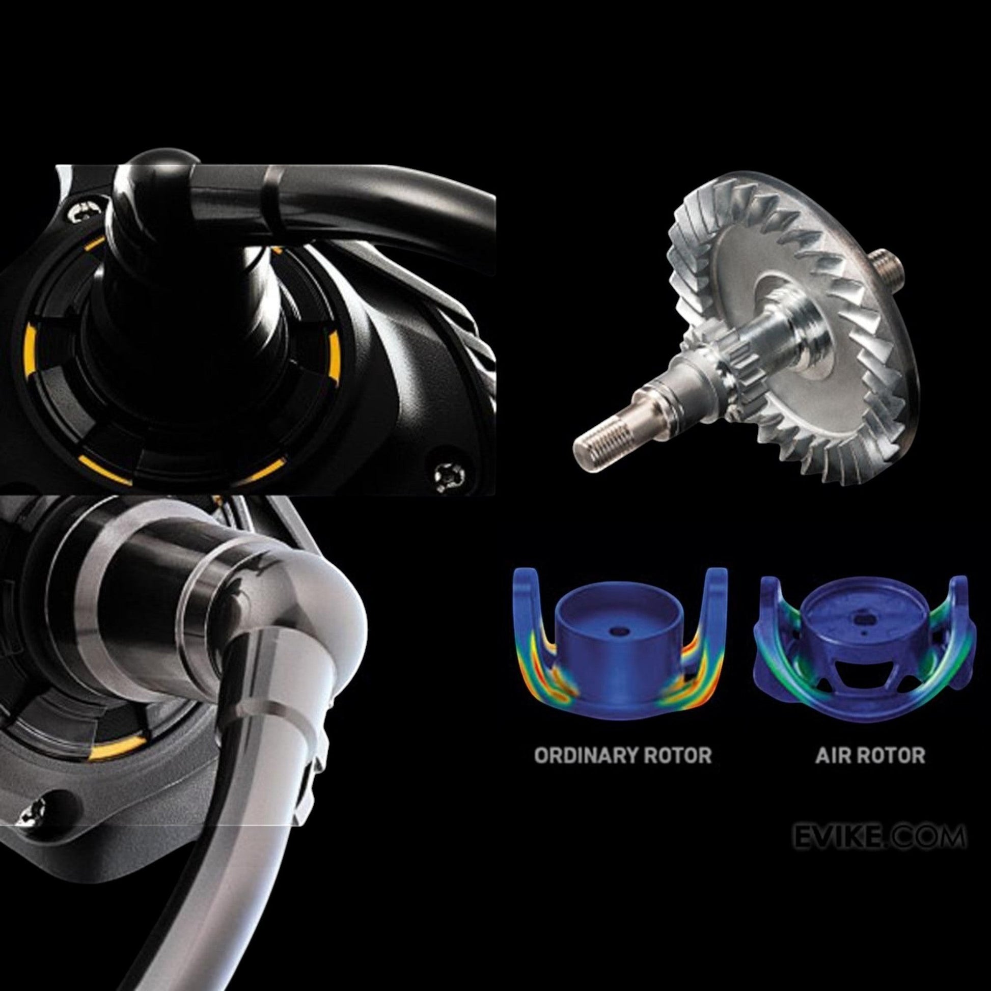 Daiwa BG Spinning Reels - Dogfish Tackle & Marine