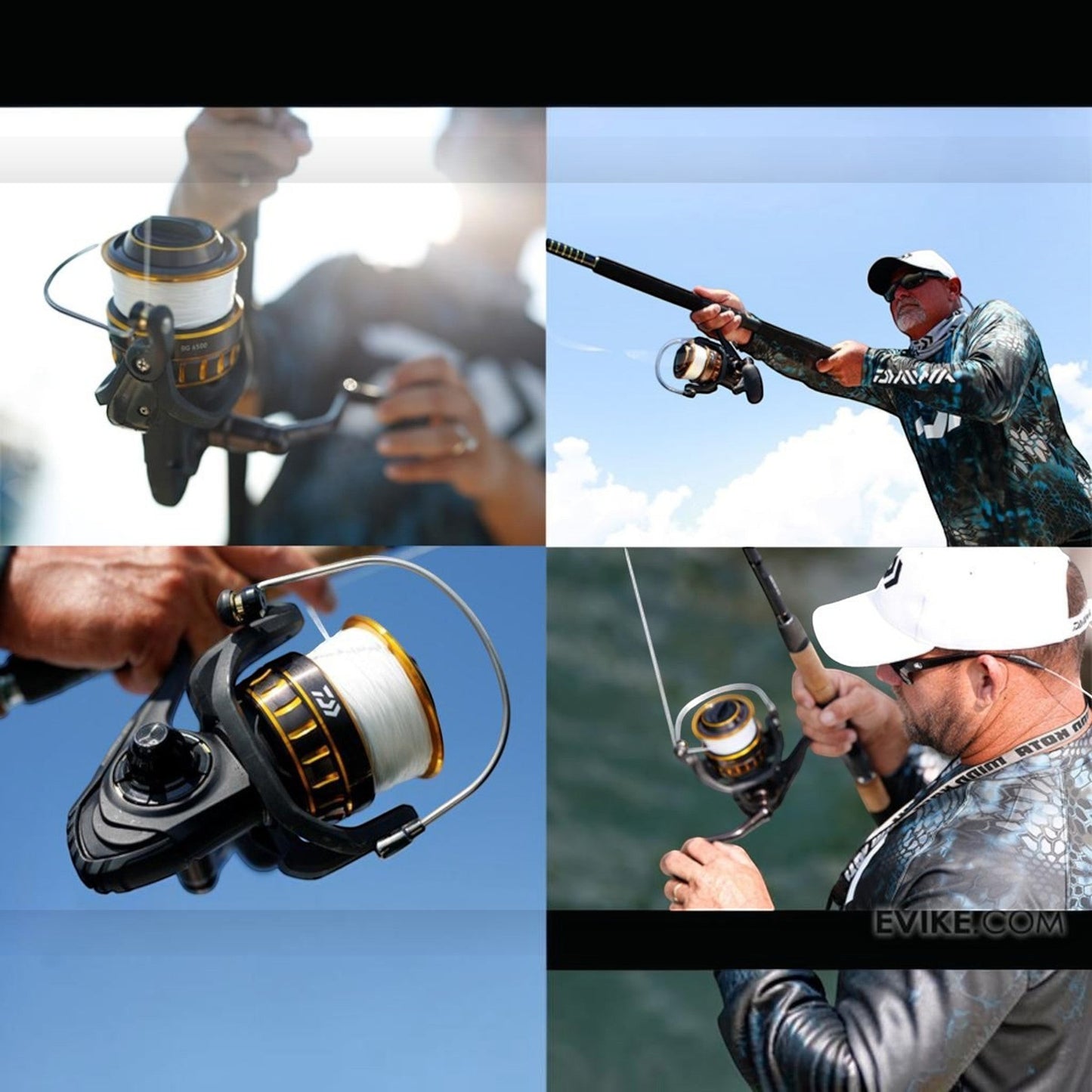 Daiwa BG Spinning Reels - Dogfish Tackle & Marine
