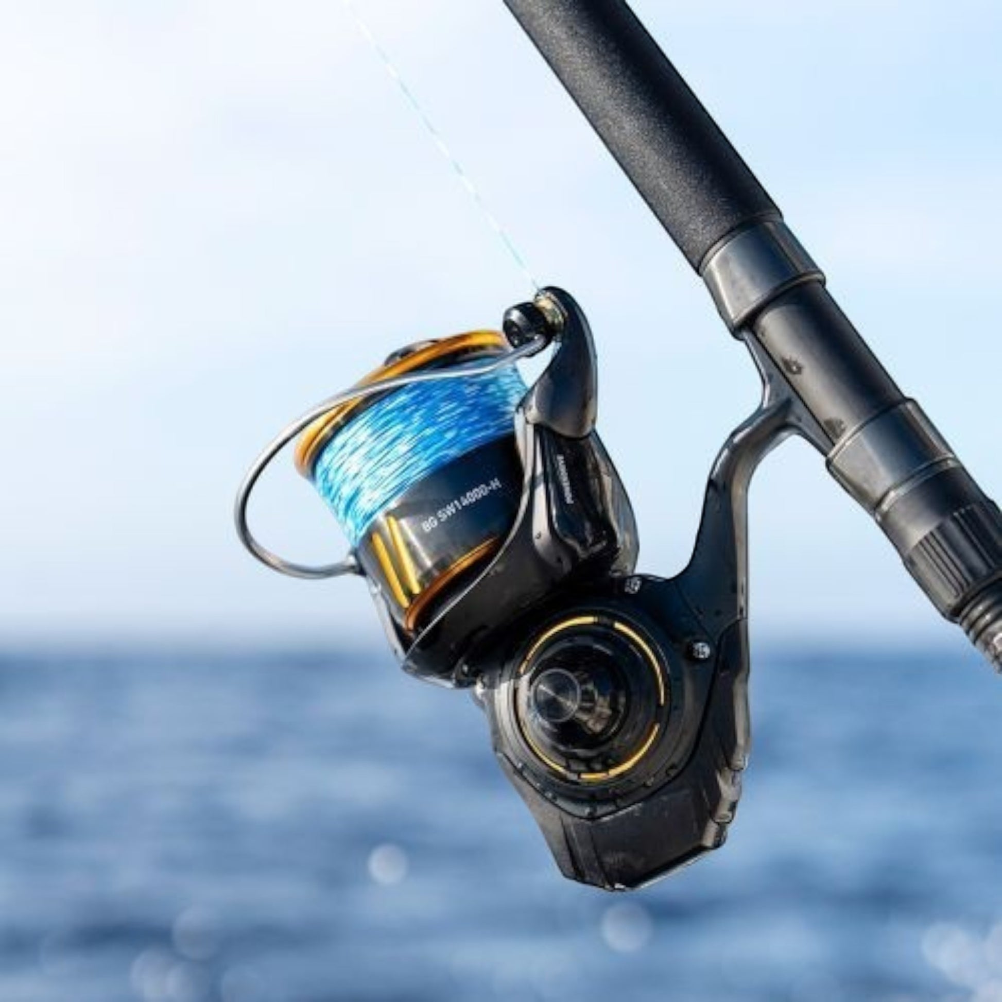 Daiwa BG SW Spinning Reels 2026 - Dogfish Tackle & Marine