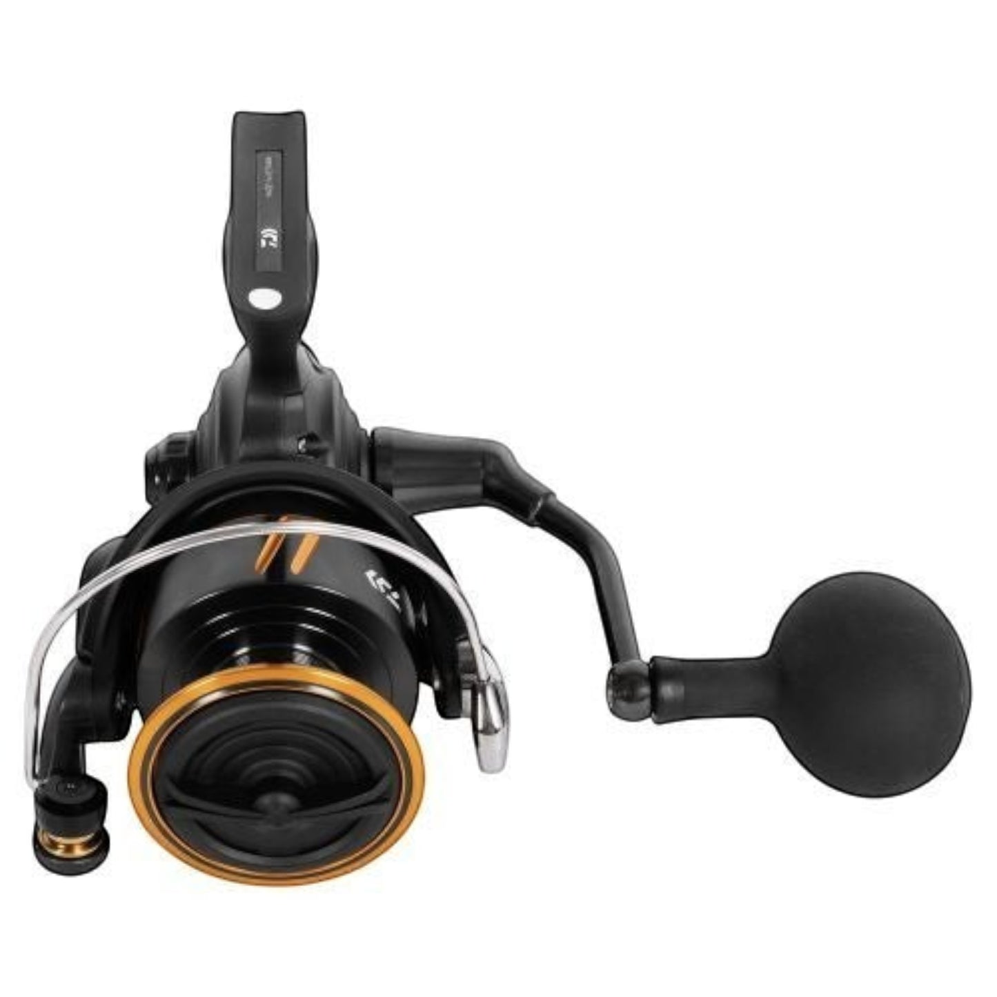 Daiwa BG SW Spinning Reels 2026 - Dogfish Tackle & Marine
