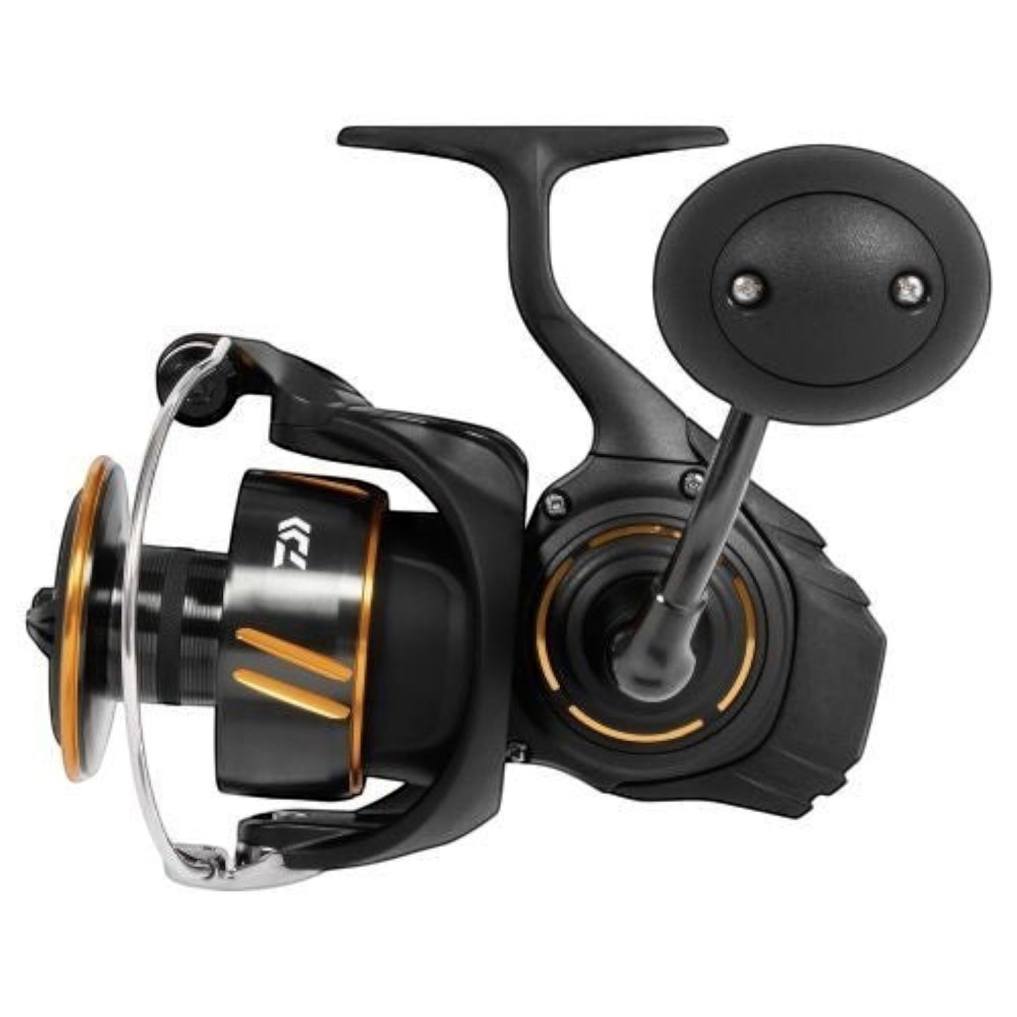 Daiwa BG SW Spinning Reels 2026 - Dogfish Tackle & Marine