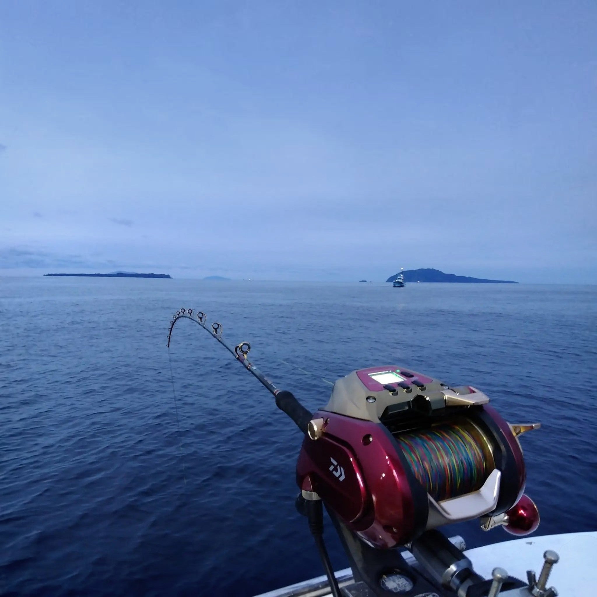 Daiwa 2024 Seaborg 1800MJ Electric Reel– Dogfish Tackle & Marine