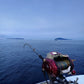 Daiwa 24 Seaborg 1800MJ Electric Reel - Dogfish Tackle & Marine