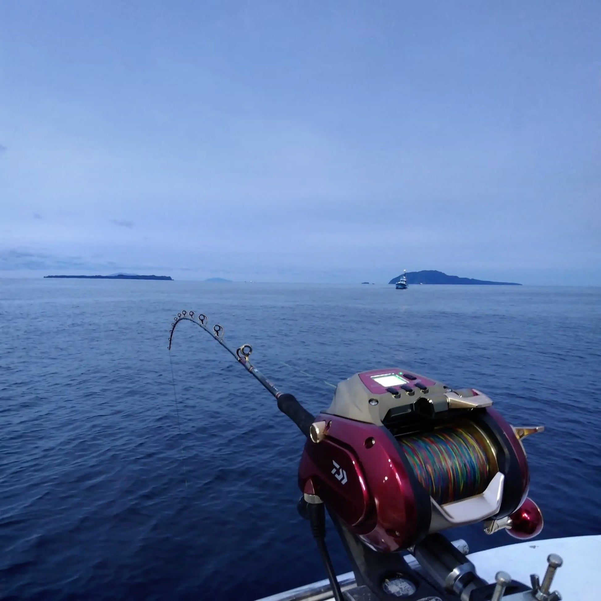 daiwa electric reels for sale Seaborg Power Assist The LCD Dot Monitor itself has been enhanced with a brighter display and greater viewing angles when wearing polarized sunglasses Daiwa Tanacom 1000 with Daiwa