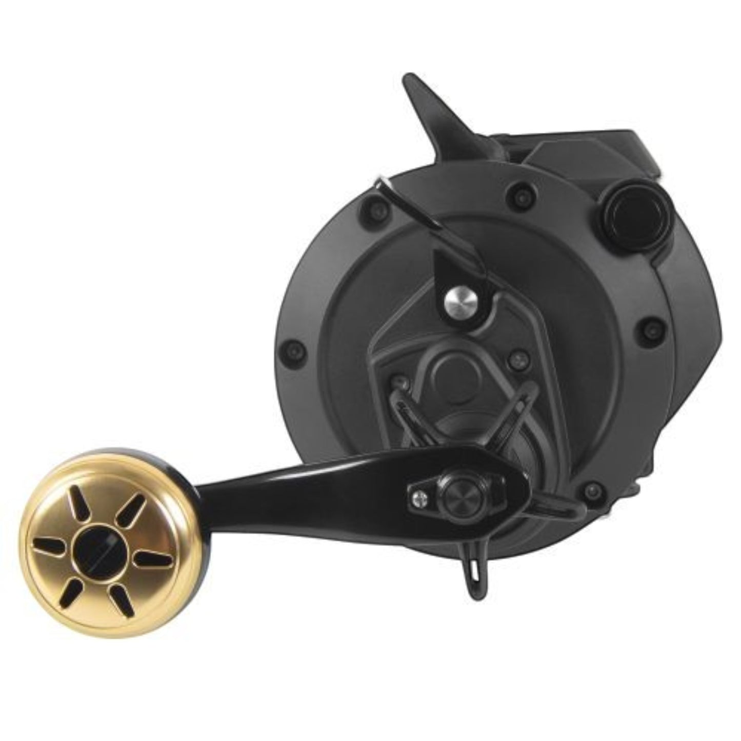 Daiwa Tanacom 800 - 1200 Power Assist Reel - Dogfish Tackle & Marine