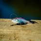 Dogfish Tackle & Marine 6th Sense Panorama soft plastic swimbait with iridescent blue and purple scales on a wooden dock
