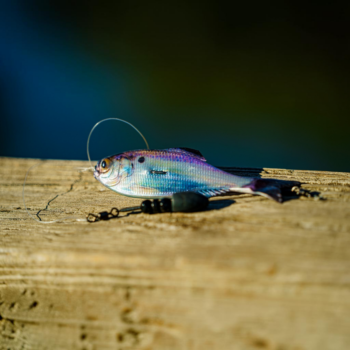 Dogfish Tackle & Marine 6th Sense Panorama soft plastic swimbait with iridescent blue and purple scales on a wooden dock