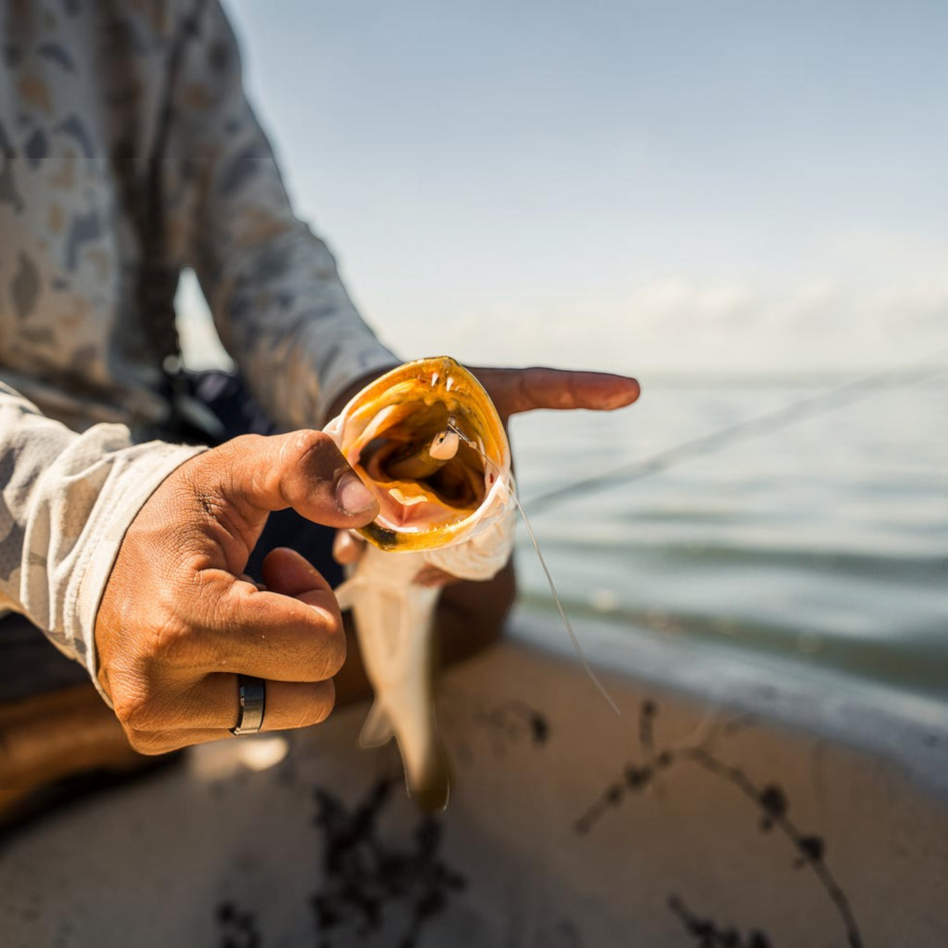 Dogfish Tackle & Marine 6th Sense Divine saltwater swimbait inside the mouth of a caught fish on a boat
