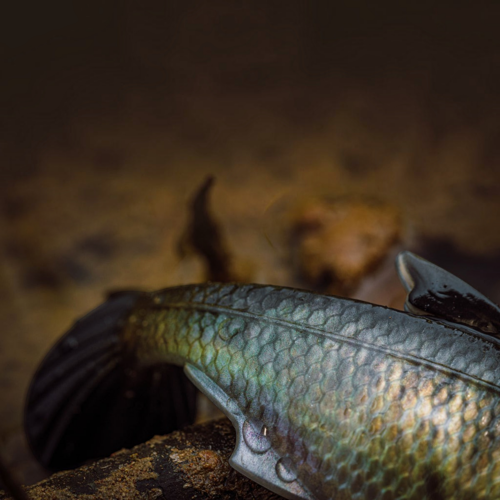 Dogfish Tackle & Marine 6th Sense The Option swimbait featuring detailed 3D scales and realistic dorsal fin texture.