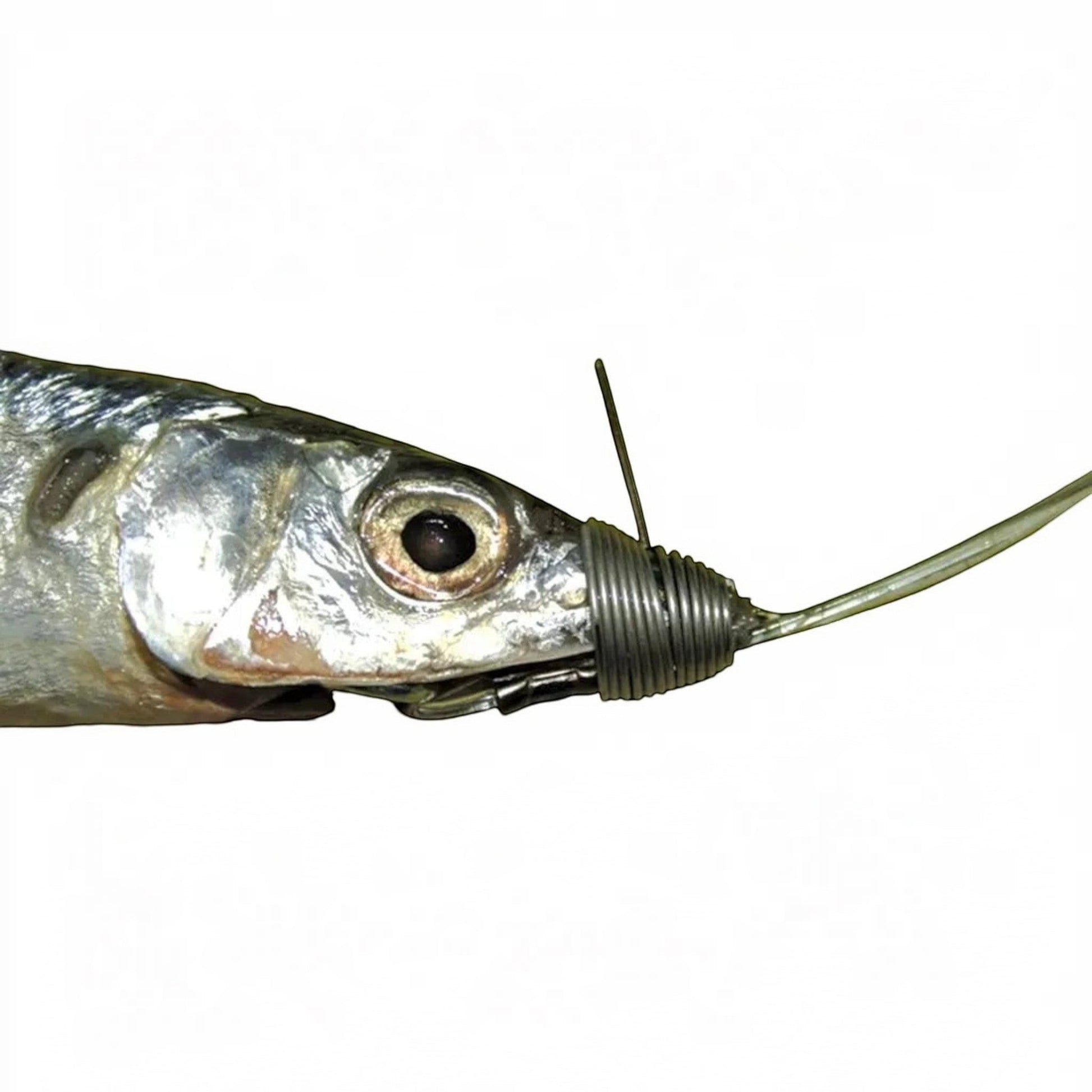 ballyhoo fishing lure Joe Shute Lures Rigged All bait is brined Blue Water Candy Skirted Ballyhoo