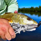 Dogfish Tackle & Marine Danco Premio titanium fishing pliers removing a hook from a redfish in a coastal environment.