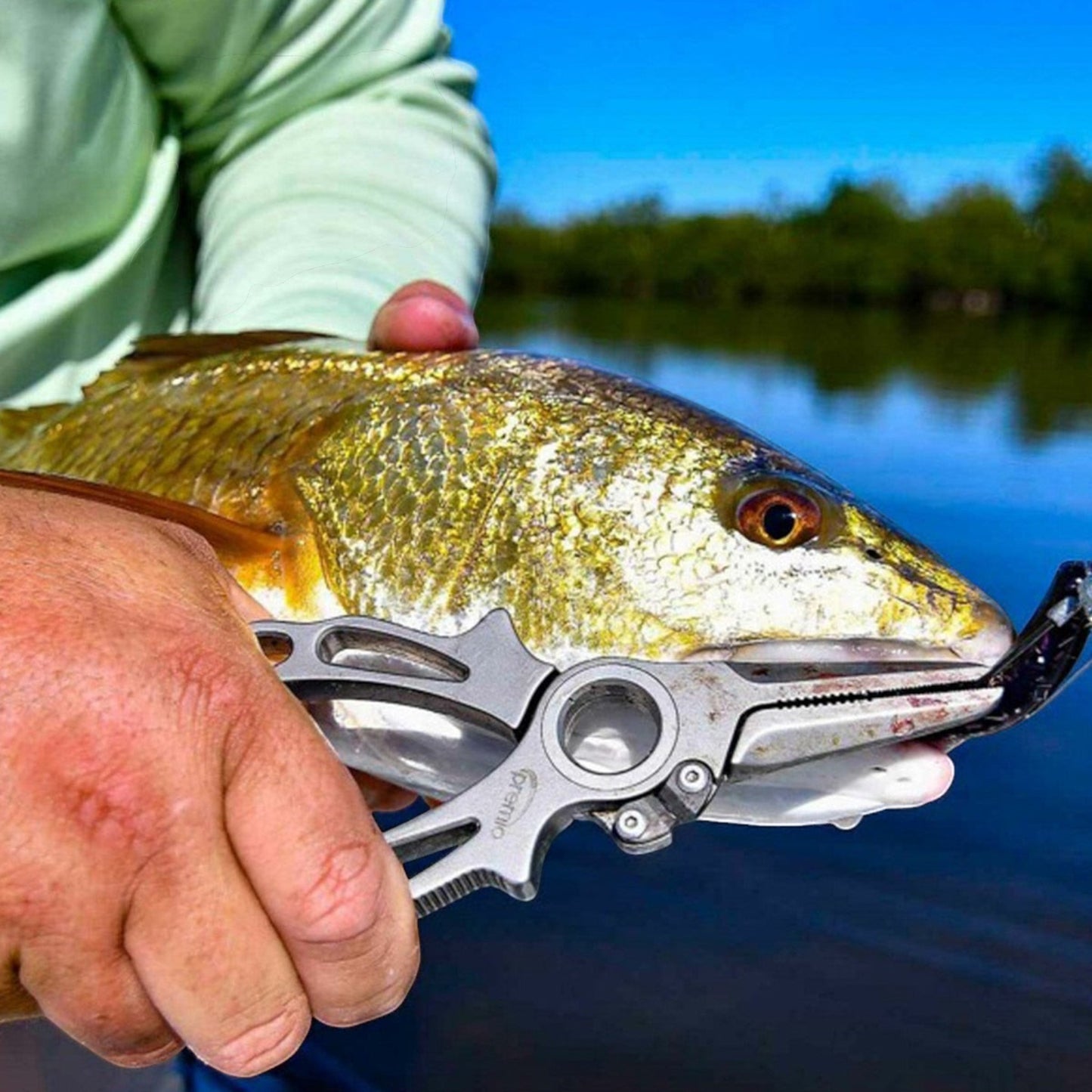 Dogfish Tackle & Marine Danco Premio titanium fishing pliers removing a hook from a redfish in a coastal environment.