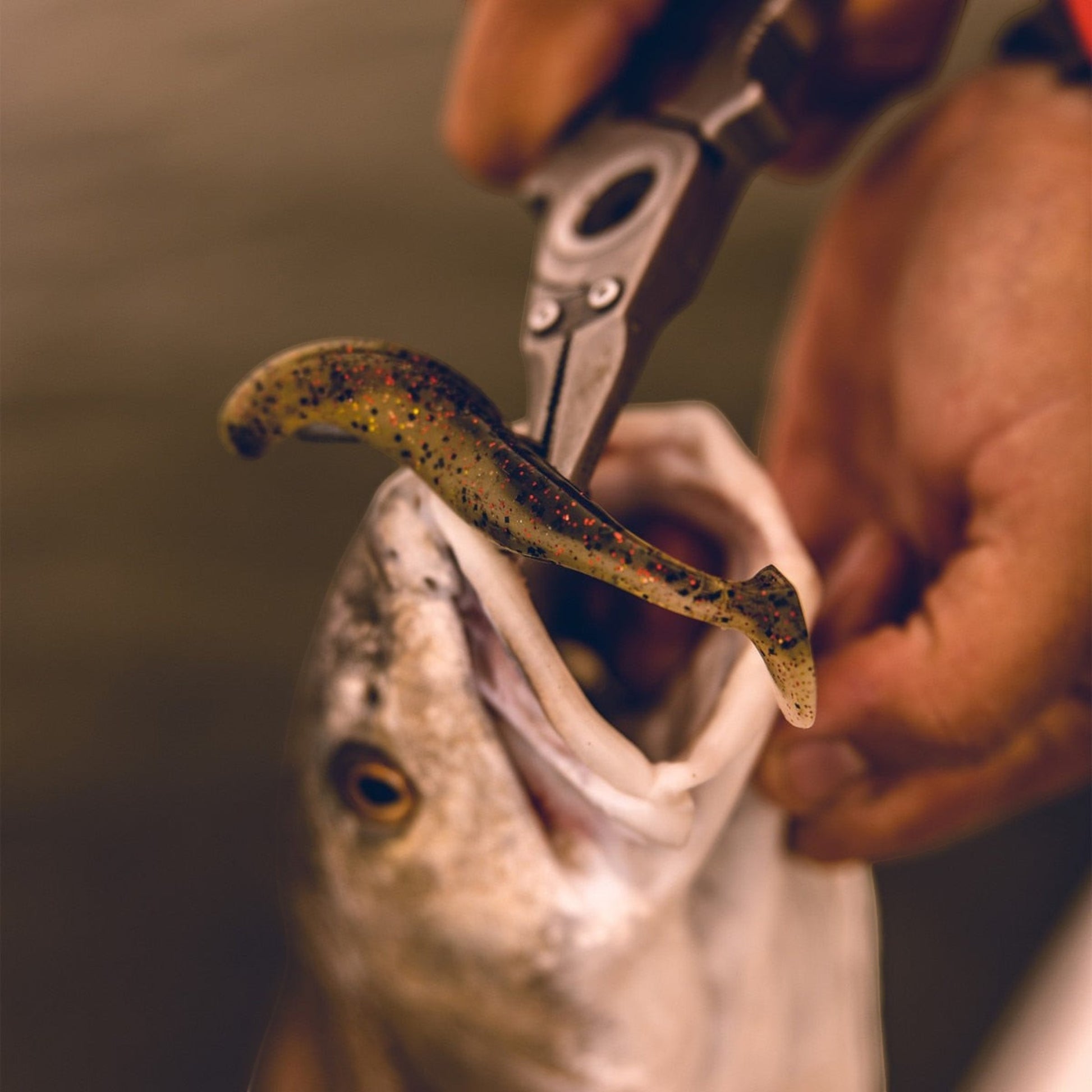 Dogfish Tackle & Marine Danco Premio titanium pliers removing a soft plastic lure from a fish mouth