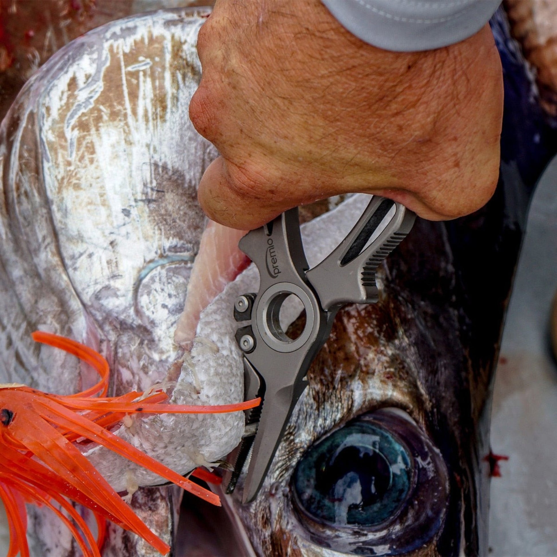 Dogfish Tackle & Marine Danco Premio titanium fishing pliers removing a hook from a fish mouth