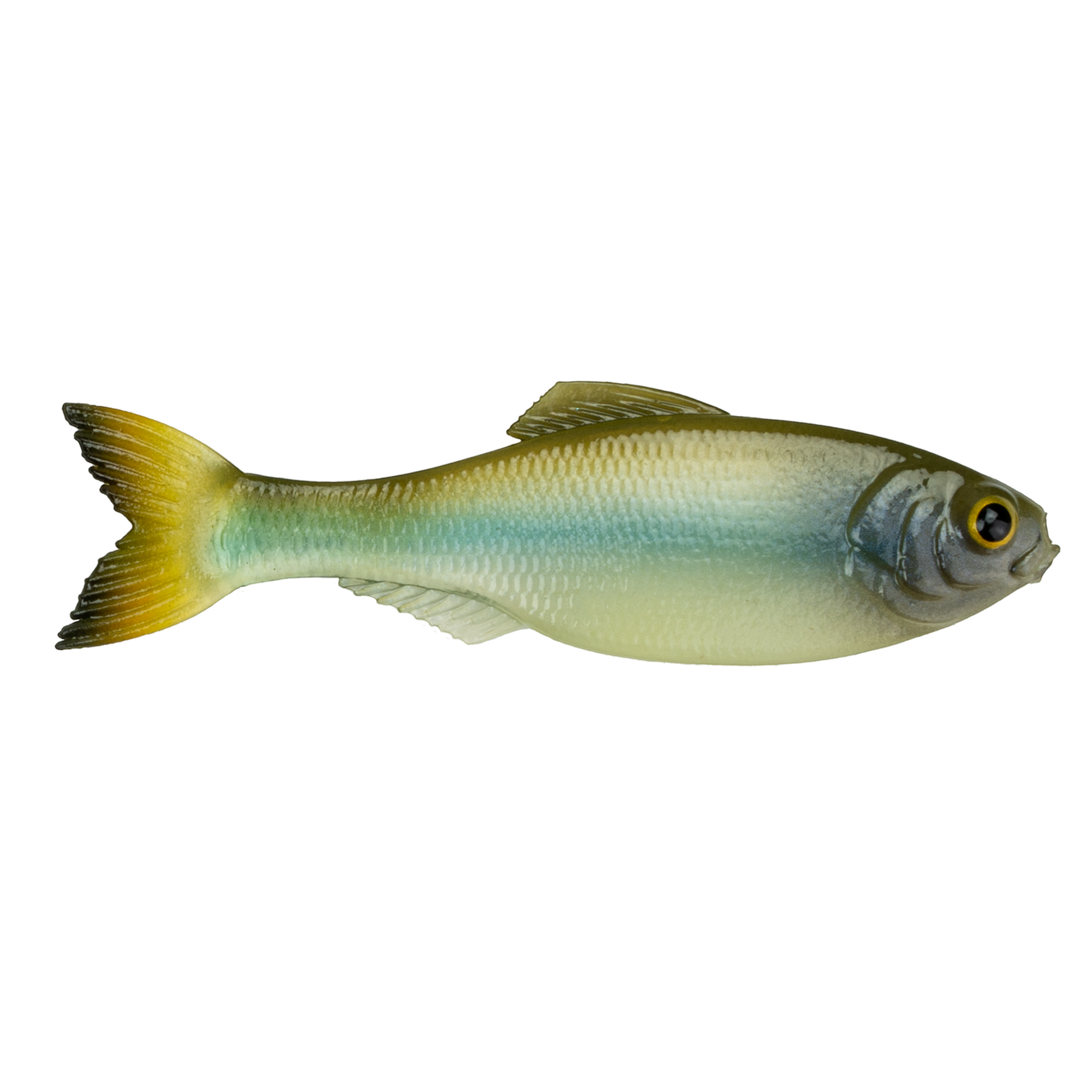 Dogfish Tackle & Marine 6th Sense Panorama soft plastic swimbait featuring a realistic green and yellow baitfish design.