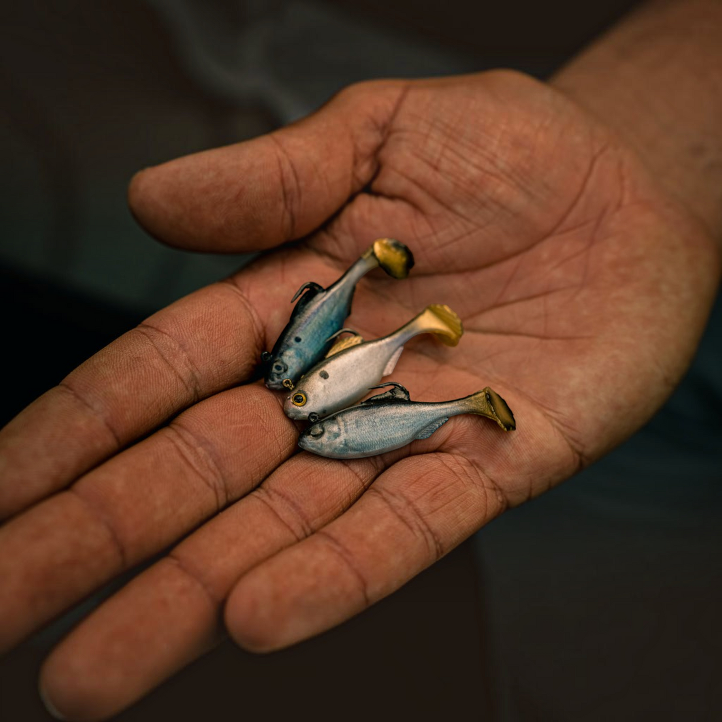 Dogfish Tackle & Marine 6th Sense Panorama Swimbait lures in various realistic colors held in an angler's palm.