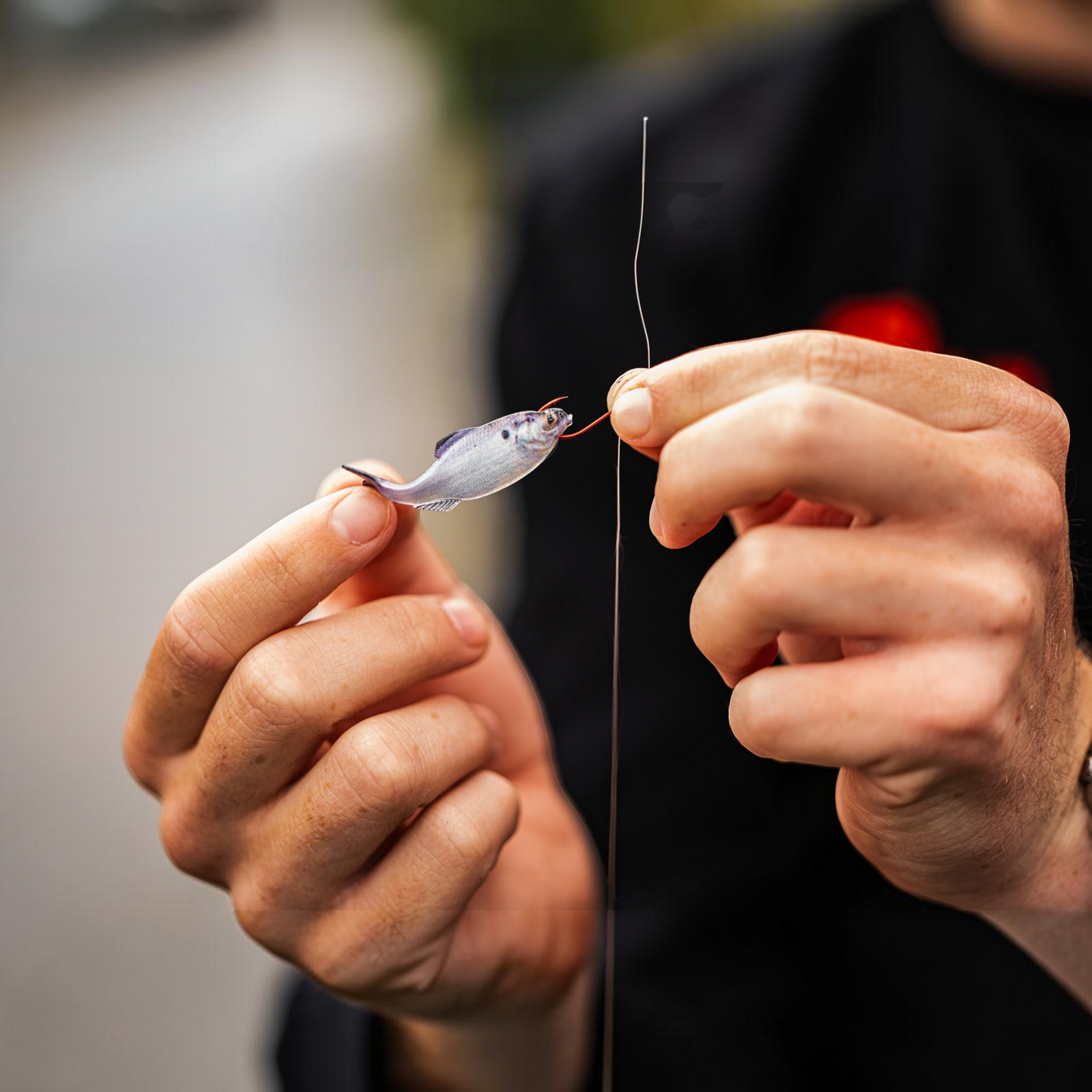 Dogfish Tackle & Marine 6th Sense Panorama soft plastic swimbait being rigged on a fishing line by an angler