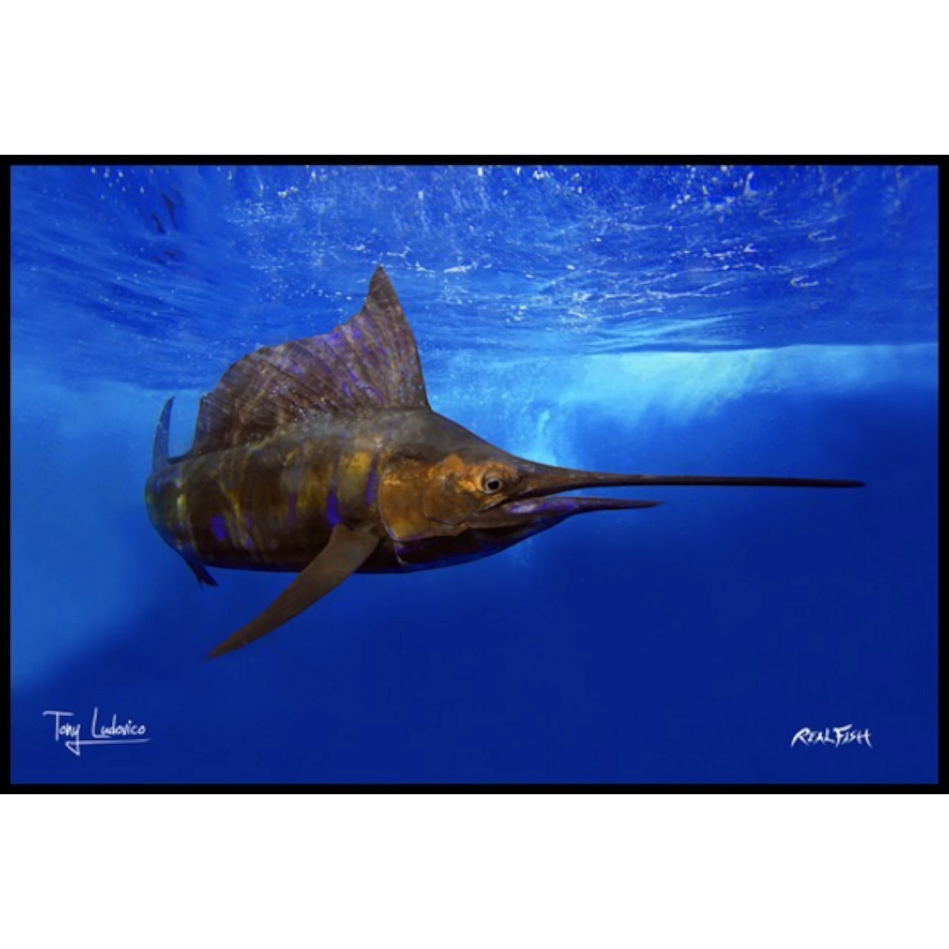Dogfish Tackle & Marine Realfish floor mat featuring a detailed Gyotaku sailfish artwork on a vibrant blue background.