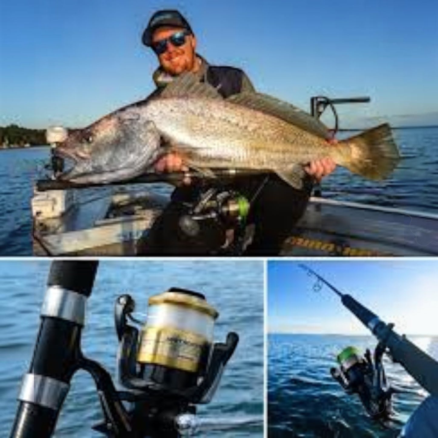 Dogfish Tackle & Marine Shimano Baitrunner D 8000FD spinning reel with gold accents, ideal for striped bass fishing.