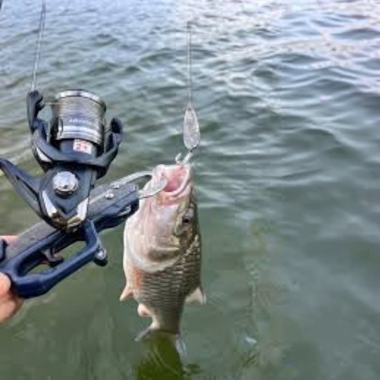 Dogfish Tackle & Marine Shimano Miravel spinning reel with a fish caught on a lure. Lightweight, versatile reel for freshwater and inshore fishing.