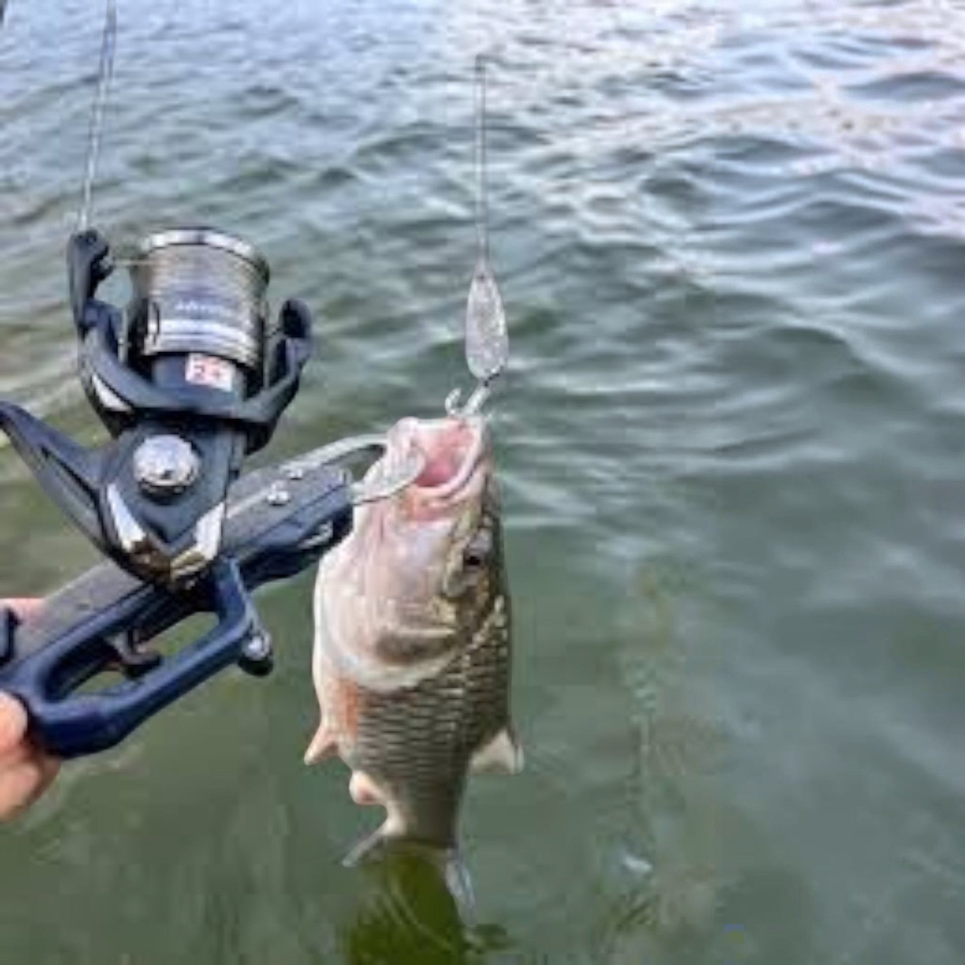 Dogfish Tackle & Marine Shimano Miravel spinning reel with a fish caught on a lure. Lightweight, versatile reel for freshwater and inshore fishing.