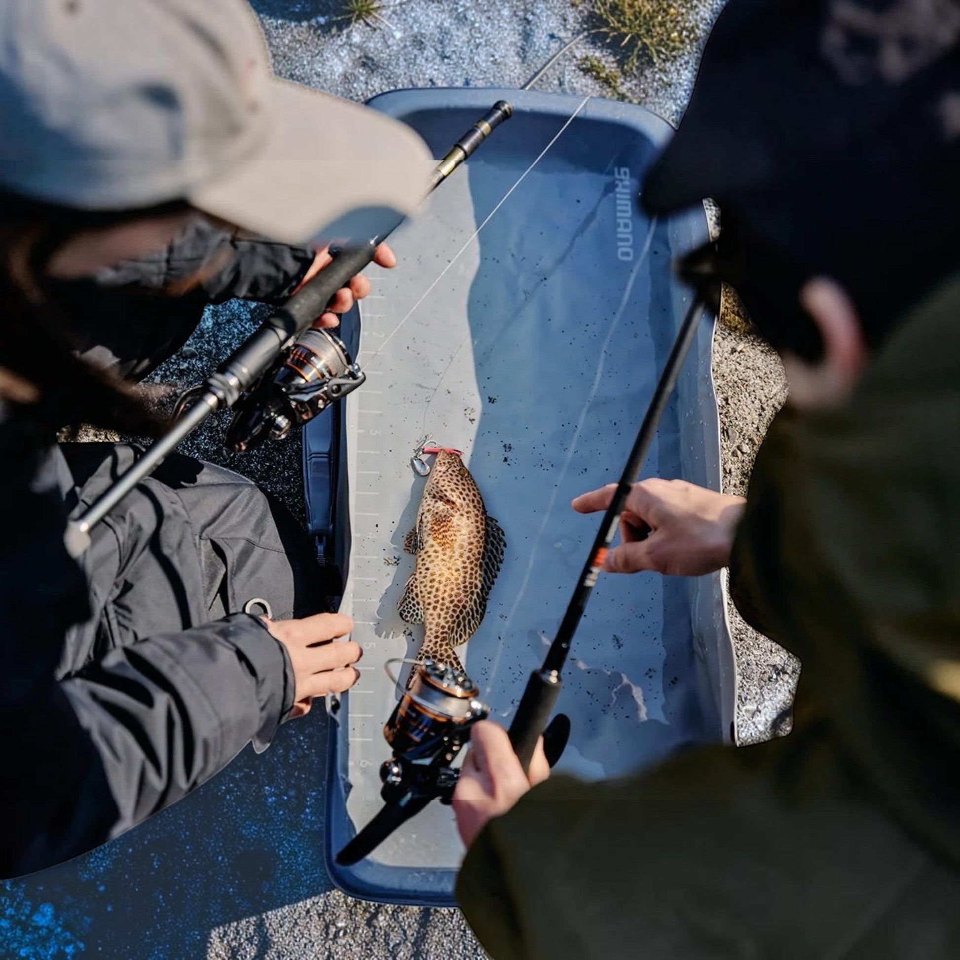 Dogfish Tackle & Marine Shimano Nexave FJ spinning reel with a caught fish on a measuring mat.
