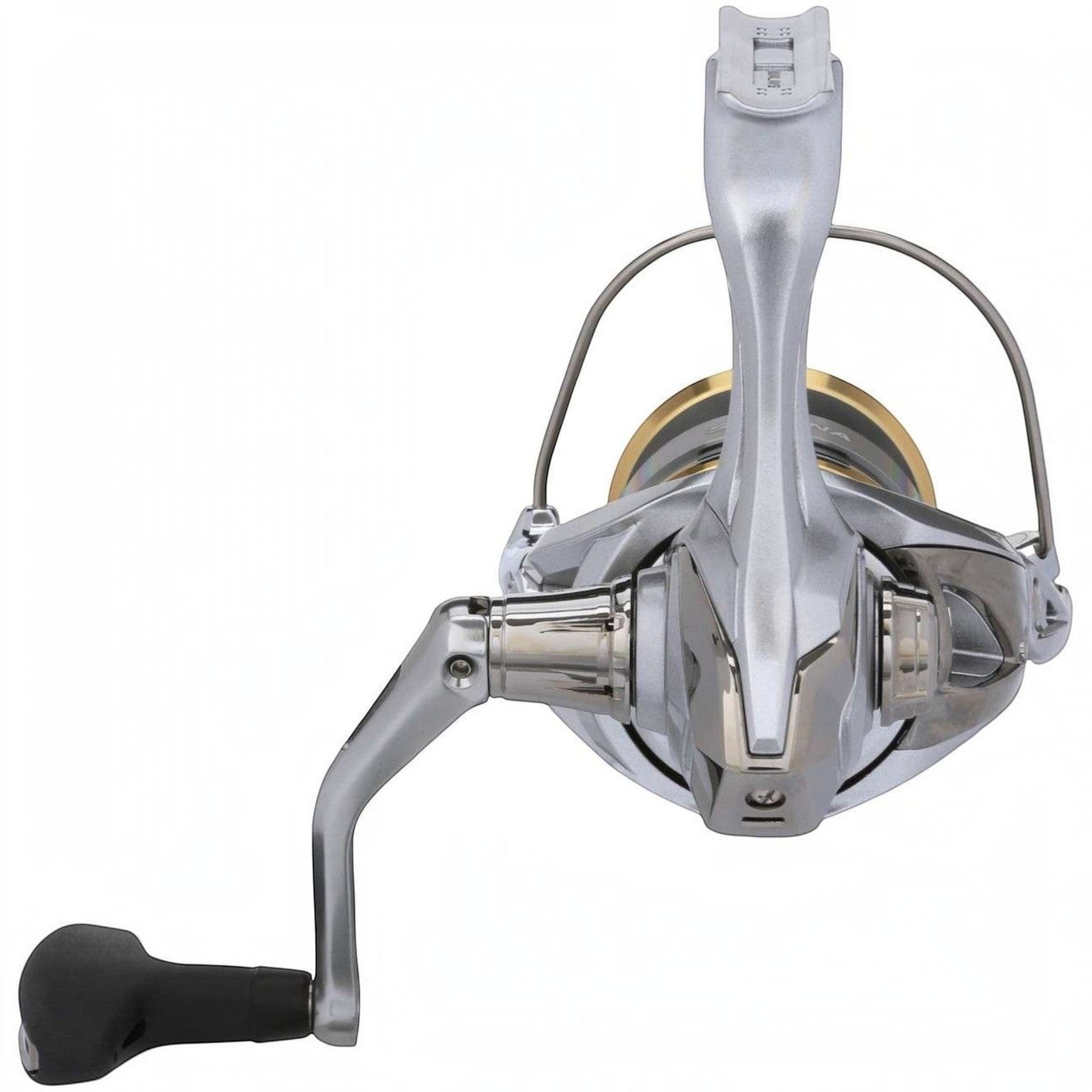 Dogfish Tackle & Marine Shimano Sedona FJ spinning reel, silver with gold accents, featuring HAGANE Gear and SilentDrive technology.