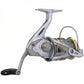 Dogfish Tackle & Marine Shimano Sedona FJ spinning reel in silver with gold accents. Features HAGANE Gear and SilentDrive.