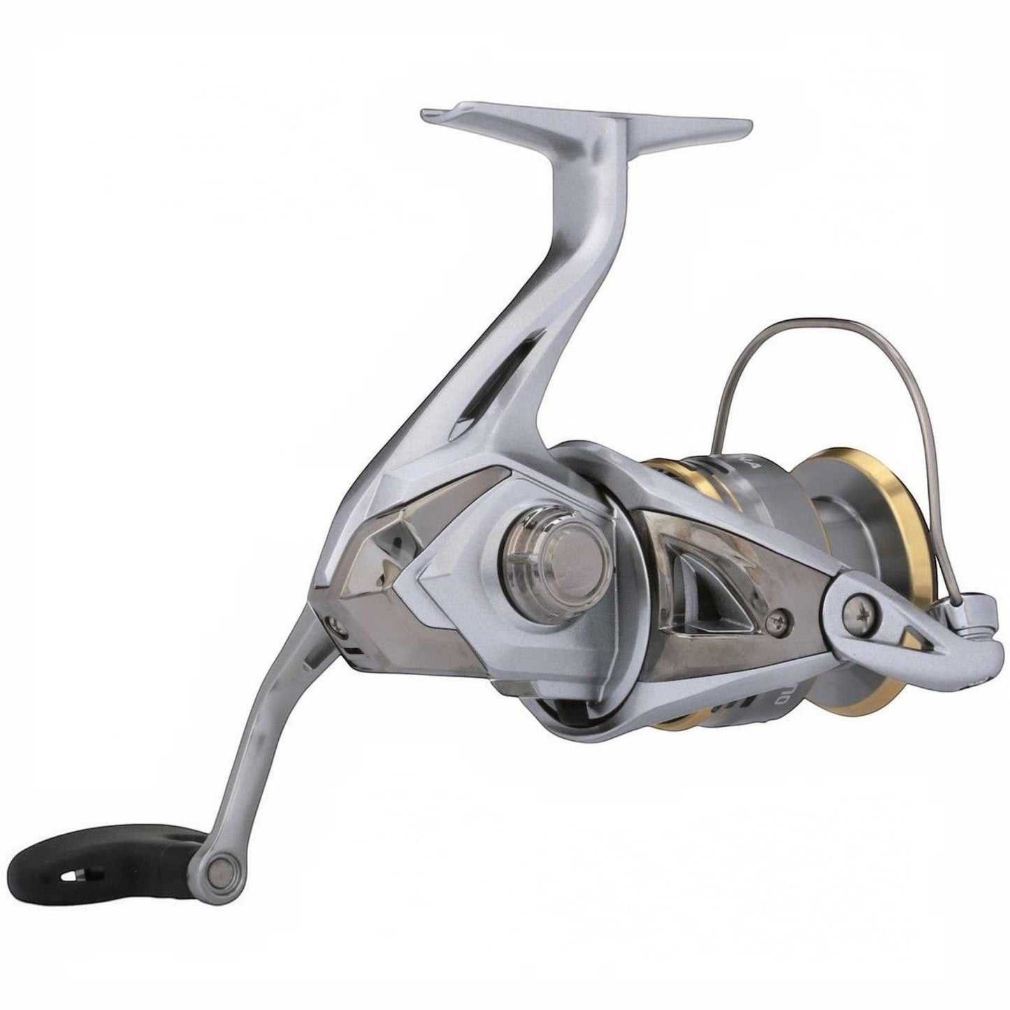 Dogfish Tackle & Marine Shimano Sedona FJ spinning reel in silver with gold accents. Features HAGANE Gear and SilentDrive.