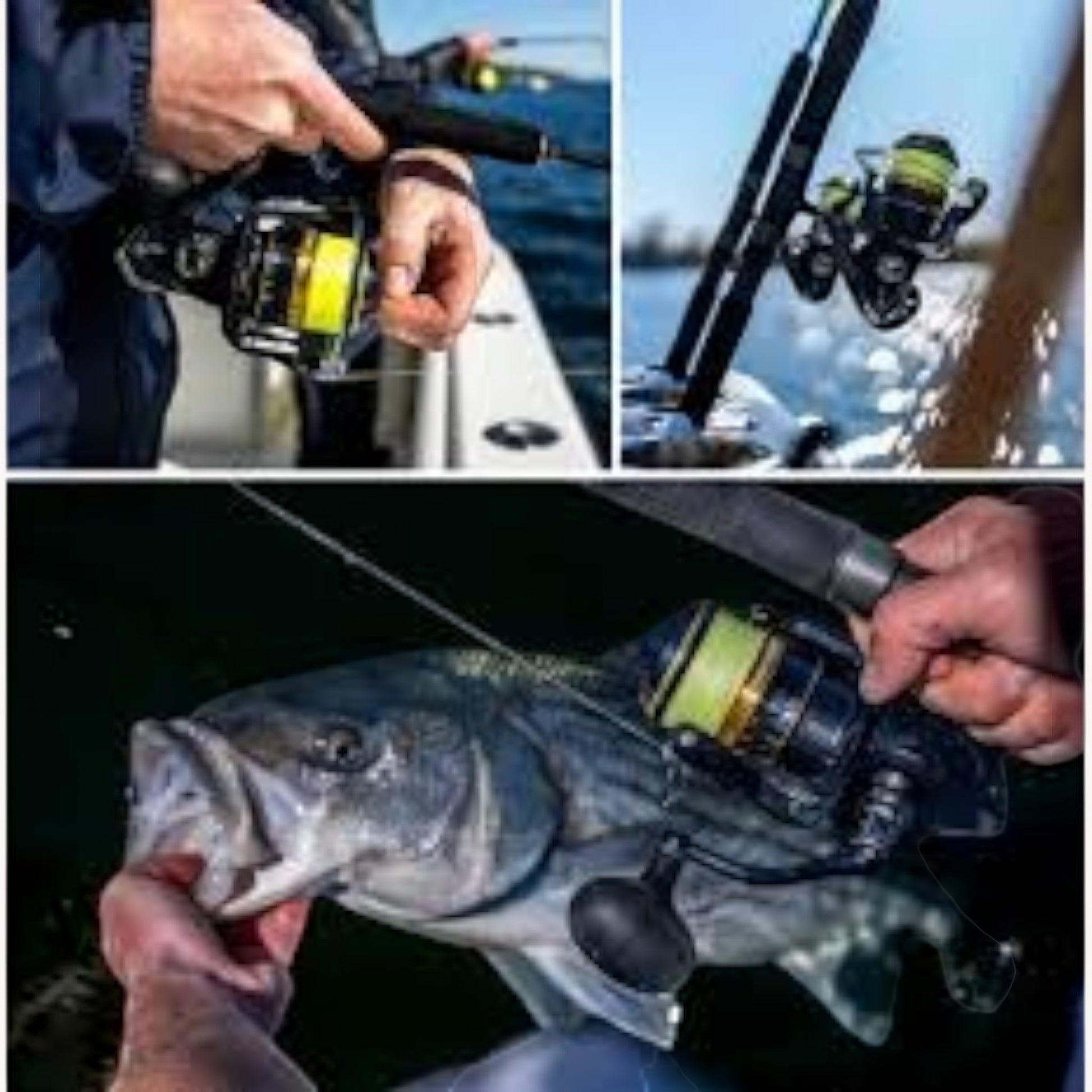 Shimano Spheros SW A Spinning Reel