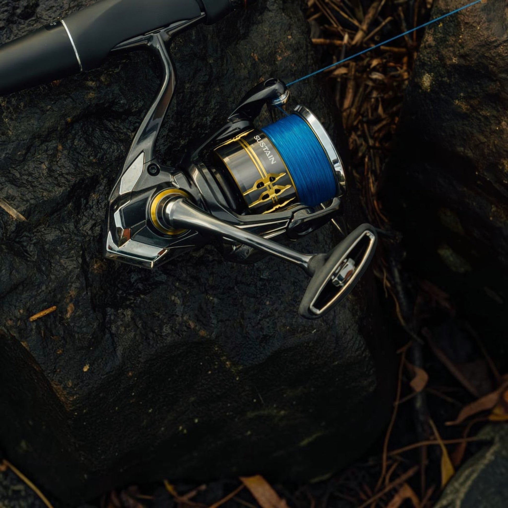 Shimano Sustain FK Spinning Reels *– Dogfish Tackle & Marine