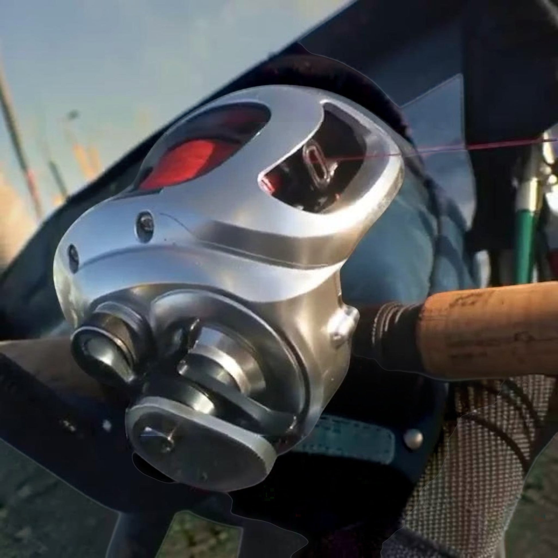 Dogfish Tackle & Marine Shimano Tranx 500 HG right-hand casting reel, silver with red accents, for saltwater fishing.