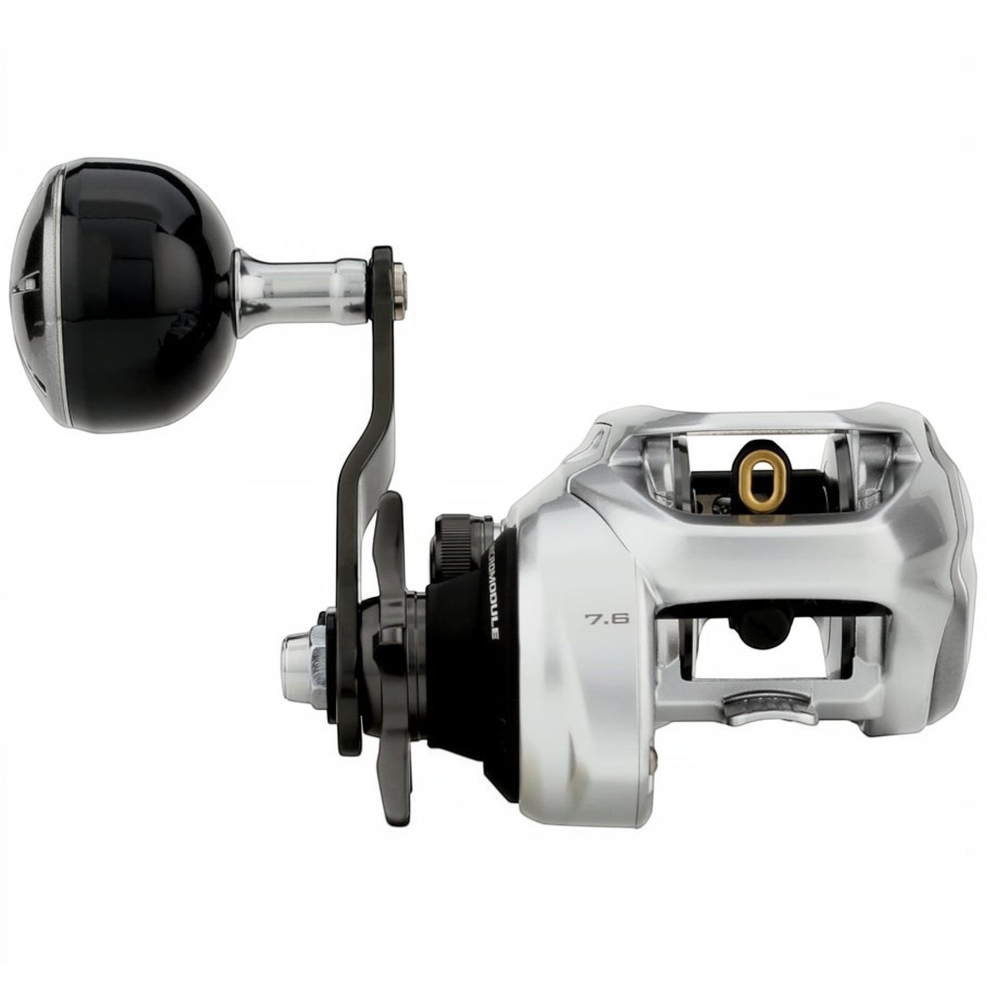Dogfish Tackle & Marine Shimano Tranx B baitcasting reel, silver with black handle and spool. Features 7.6 gear ratio.