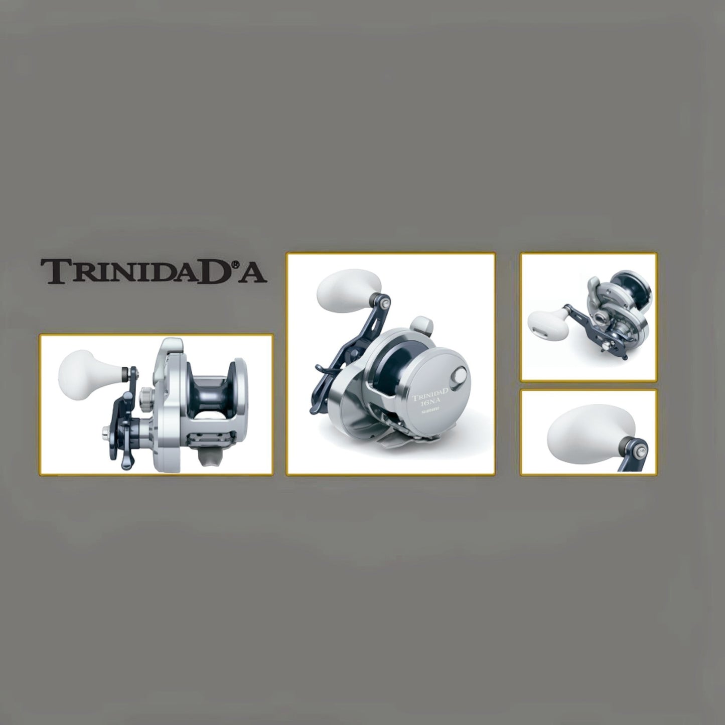 Dogfish Tackle & Marine Shimano Trinidad A Star Drag Conventional Reel, silver and black with white handle. Features star drag and levelwind.