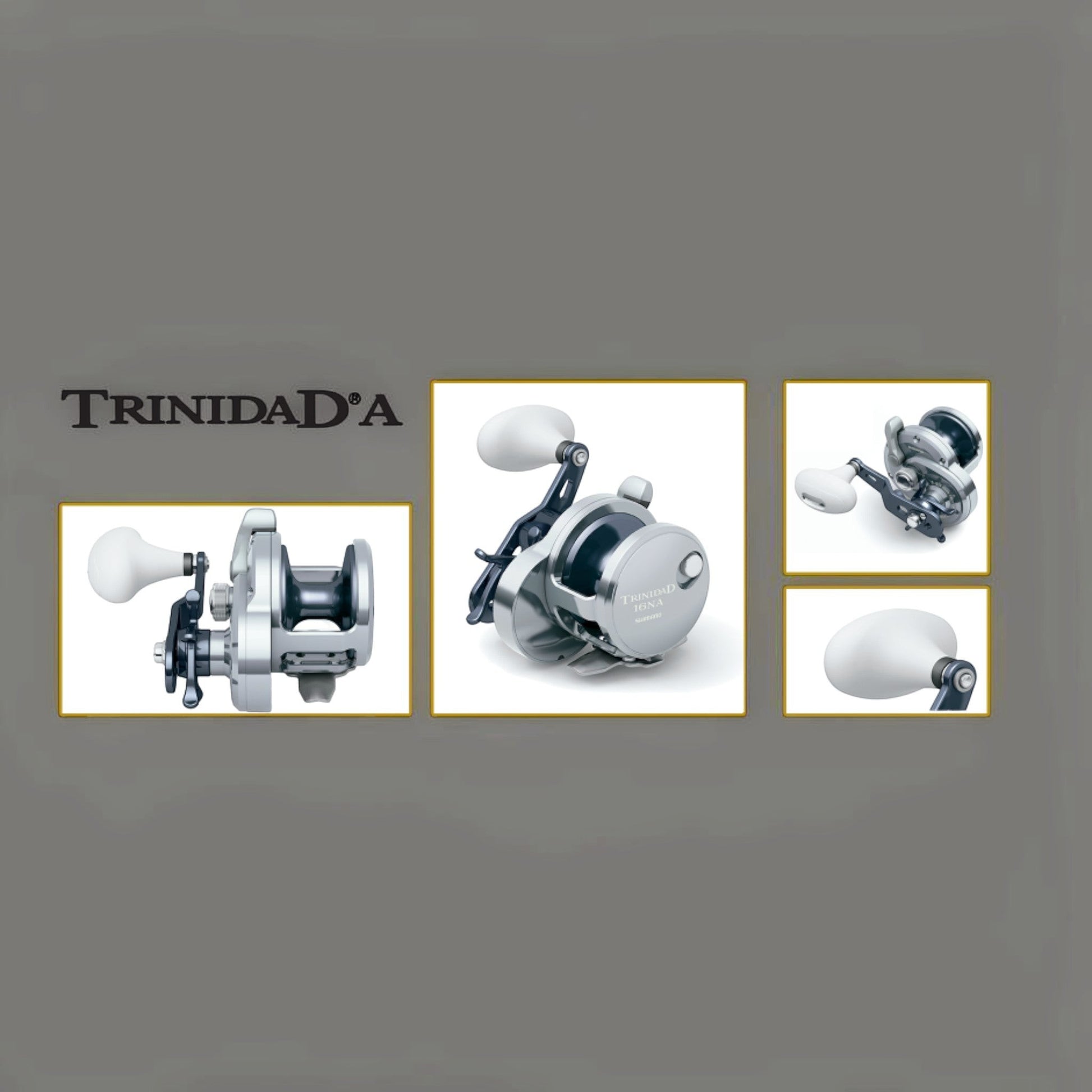 Dogfish Tackle & Marine Shimano Trinidad A Star Drag Conventional Reel, silver and black with white handle. Features star drag and levelwind.
