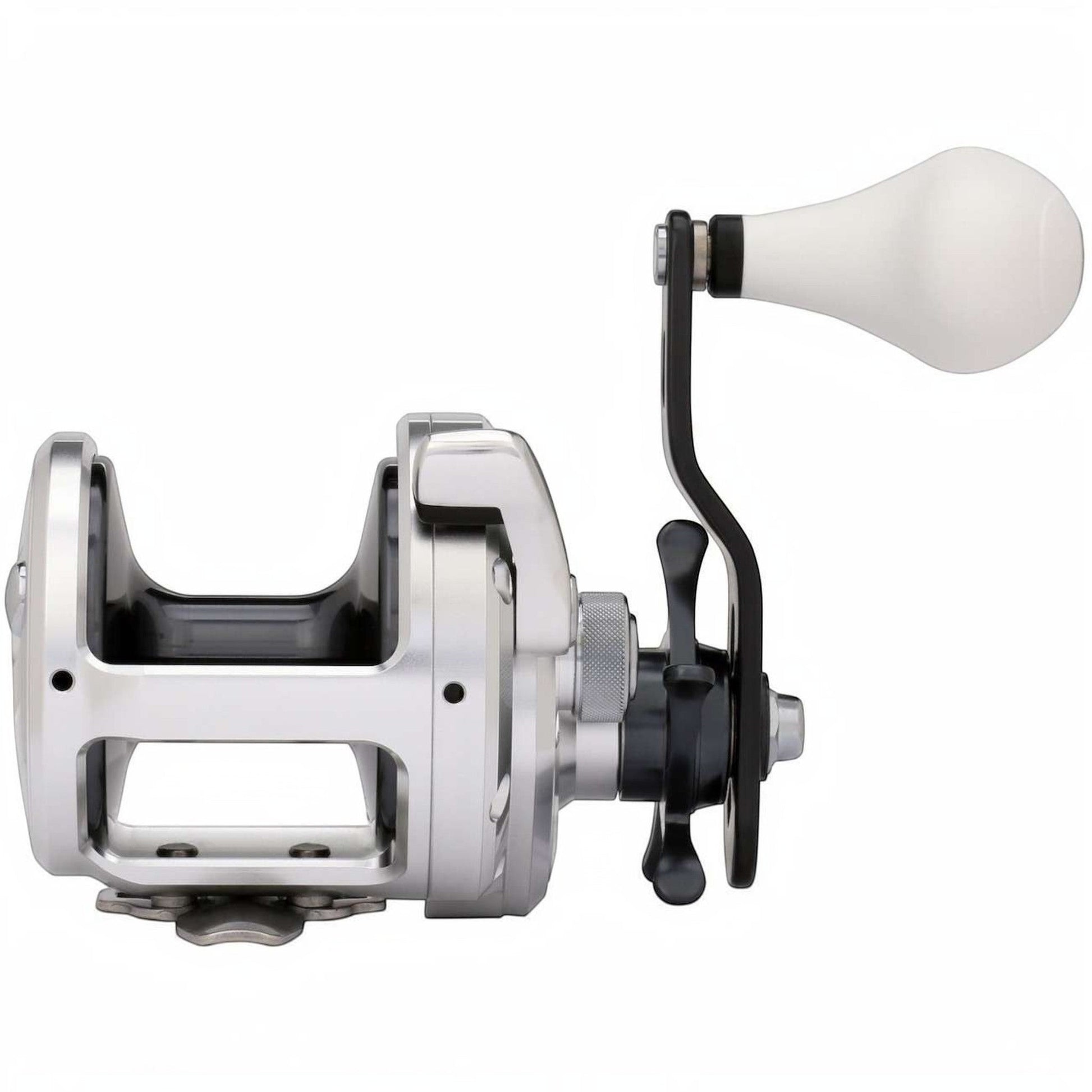 Dogfish Tackle & Marine Shimano Trinidad A Star Drag Conventional Reel, silver aluminum body, black handle, white knob. Ideal for saltwater fishing.