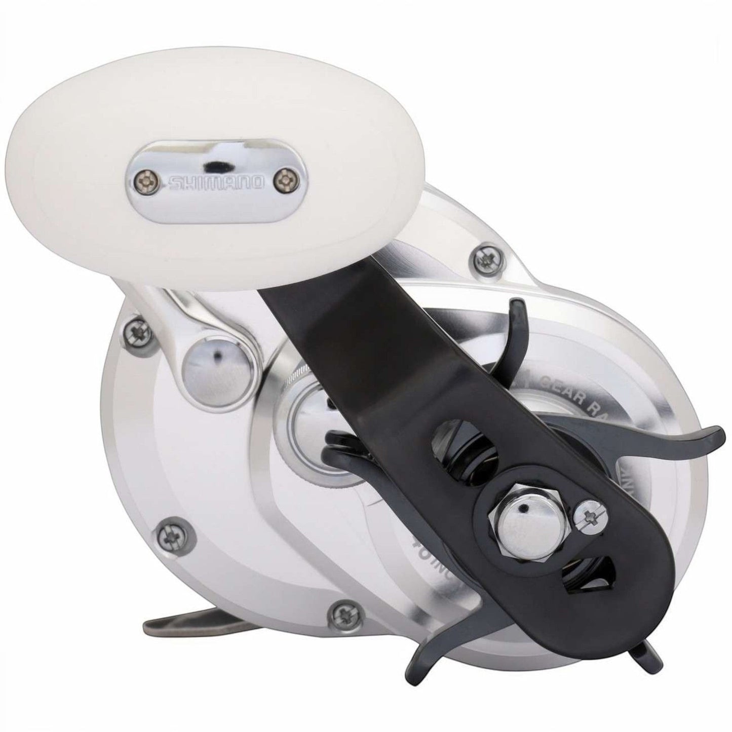 Dogfish Tackle & Marine Shimano Trinidad A Star Drag Conventional Reel, silver with black accents and white handle knob.